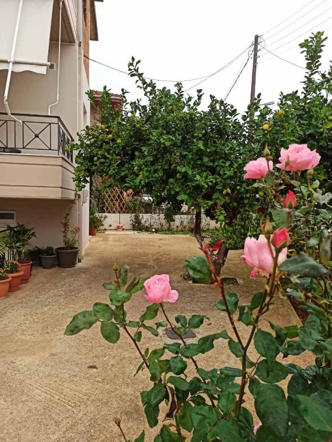 미티카스 Agathi'S House 아파트 외부 사진