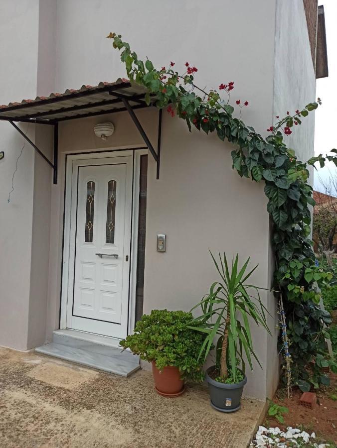 미티카스 Agathi'S House 아파트 외부 사진