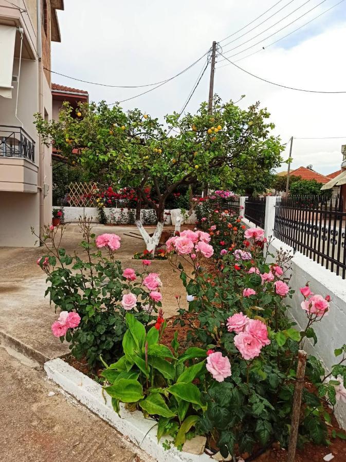 미티카스 Agathi'S House 아파트 외부 사진